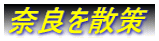 ޗǂU