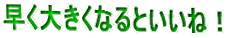 傫ȂƂˁI