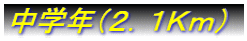 wNiQDPjj
