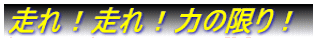 II͂̌I