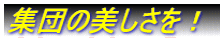 Wc̔I