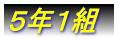 1N1g