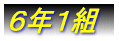 1N1g