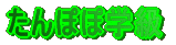 PN̕