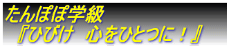QN@wCς@p[񂩂IIx